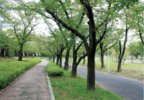 開成山公園