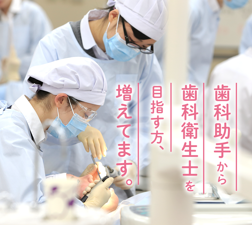 歯科助手の方へ 卒業後の進路 就職 歯科衛生士科 福島医療専門学校