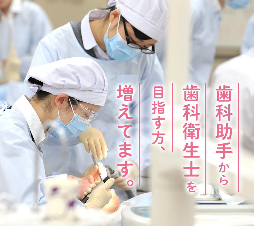 歯科助手の方へ 卒業後の進路 就職 歯科衛生士科 福島医療専門学校 歯科助手の方へ 卒業後の進路 就職 歯科衛生士科 福島医療専門学校